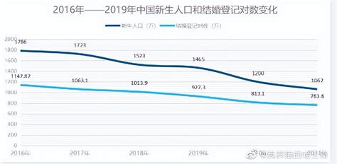 2024年出生的孩子